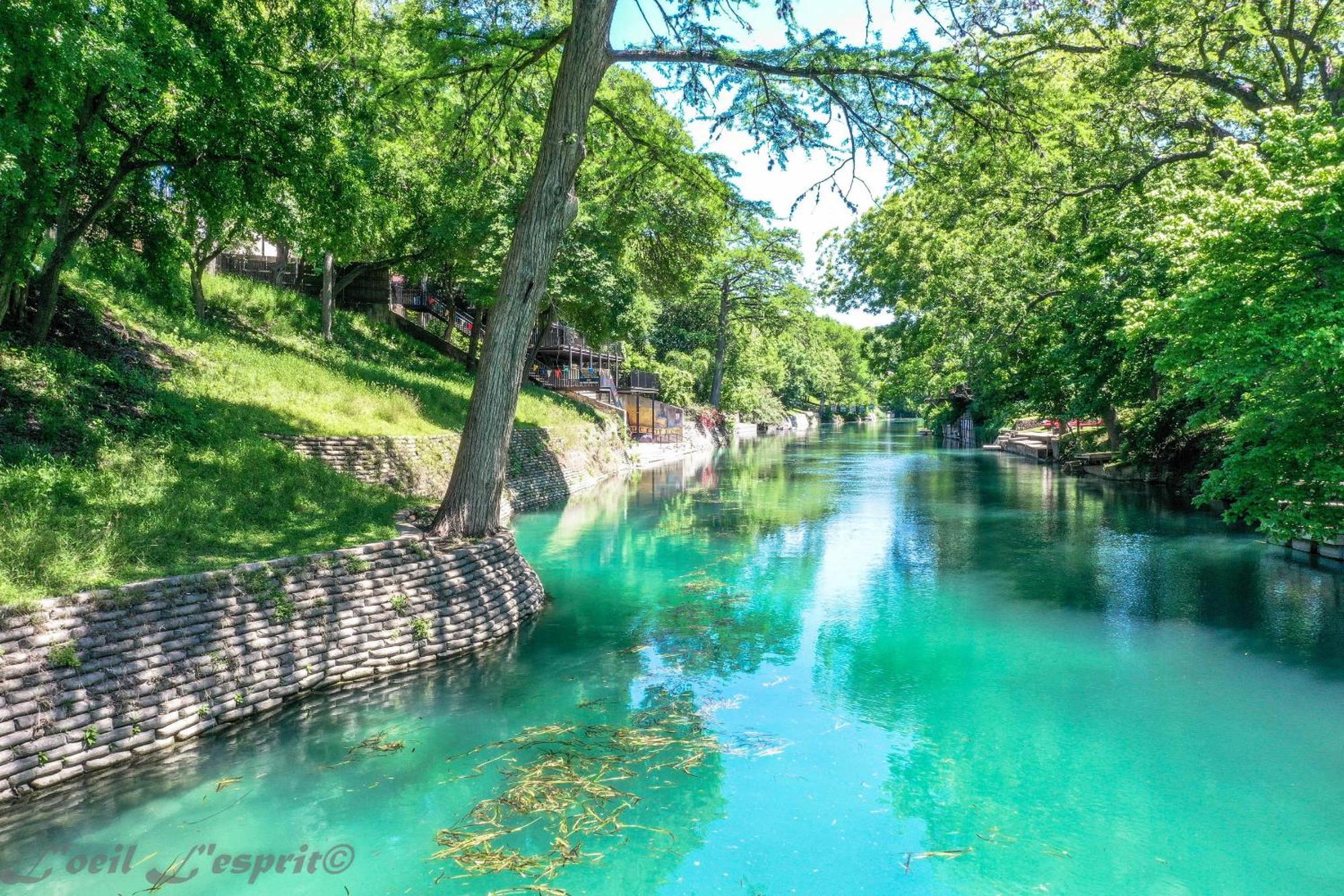 The Iron Cactus Condo On The Comal Cw C102 ニューブラウンフェルズ エクステリア 写真